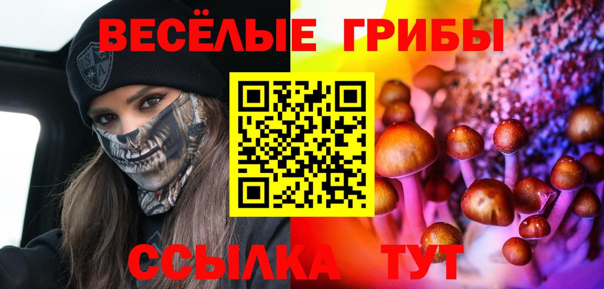 Псилоцибиновые грибы MAGIC MUSHROOMS Мурино